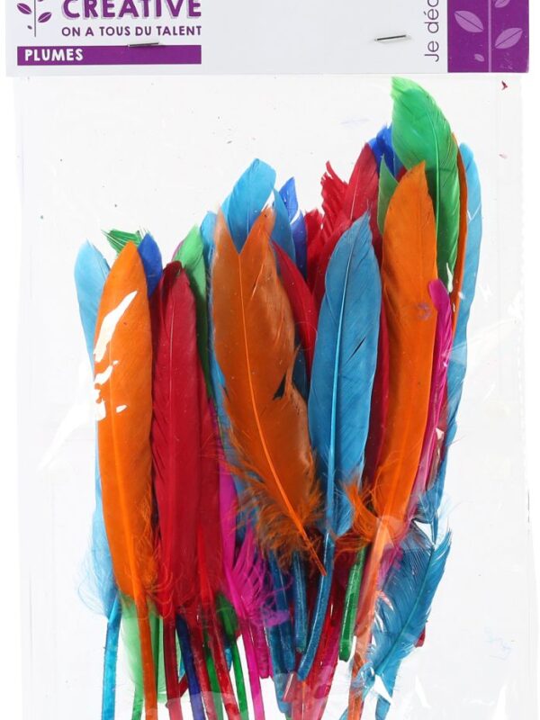 Indian feathers 10 g 150 mm colour mix