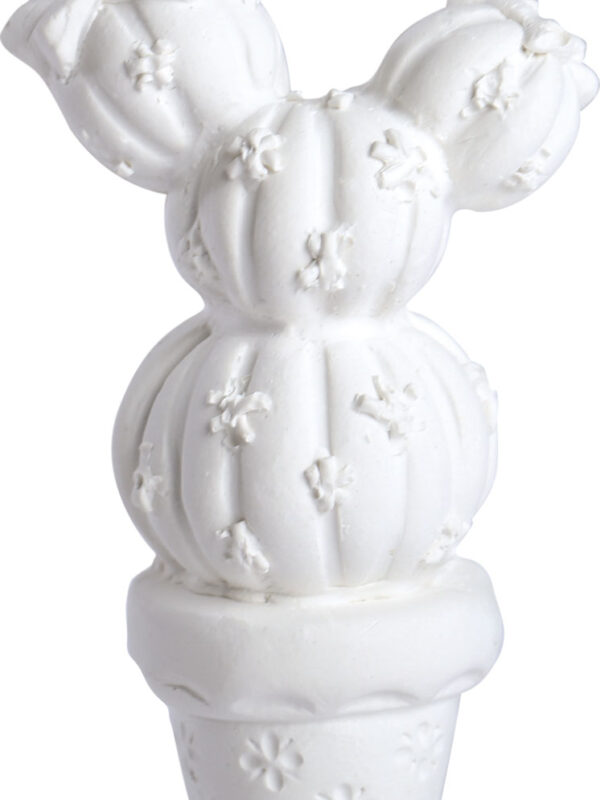 Plaster mold – Flat cactus 37 mm x 63 mm x 16 mm (1 pc)