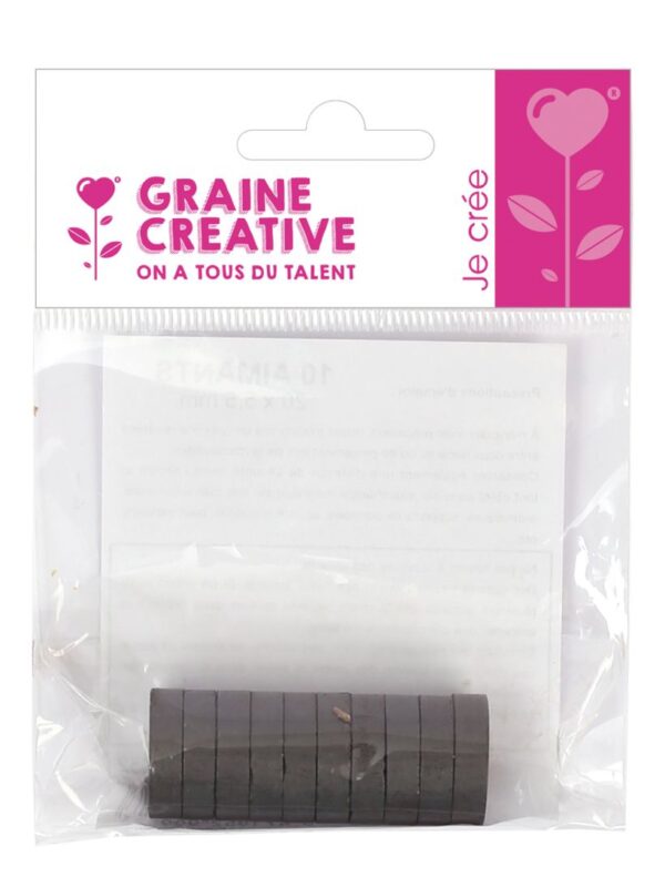 Sachet of 10 magnets 20x5.5mm