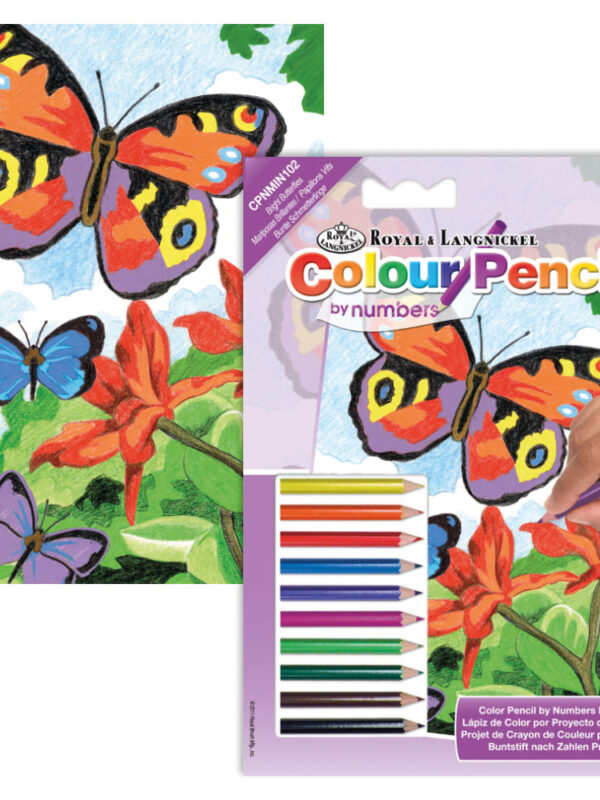 Paint by numbers 127mm x 178mm - Colourful butterflies