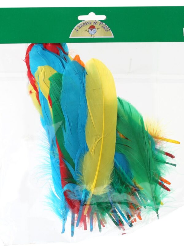 Feathers 15 g 180 mm colour mix