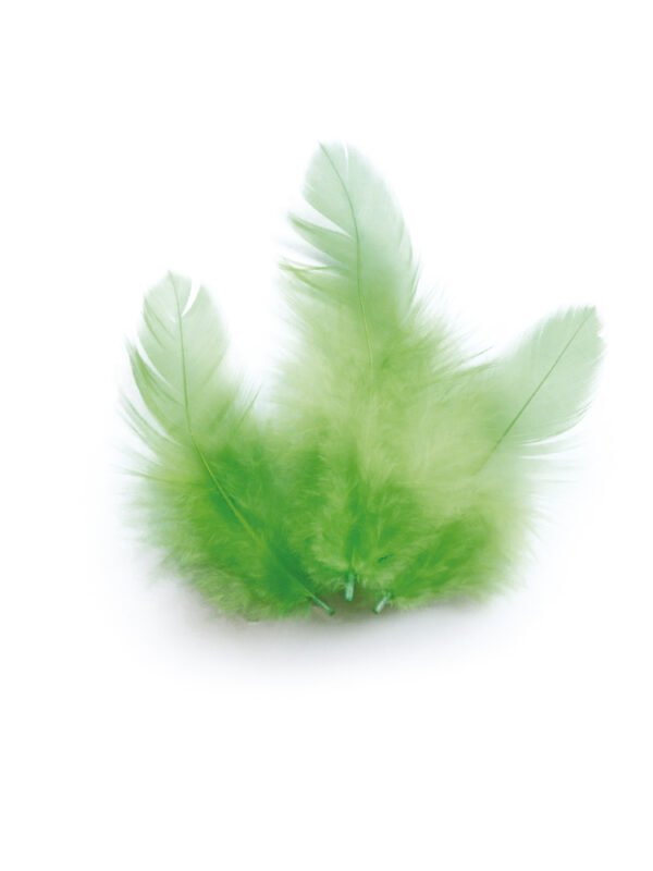 Rooster feathers 3 g 100 mm – Light green