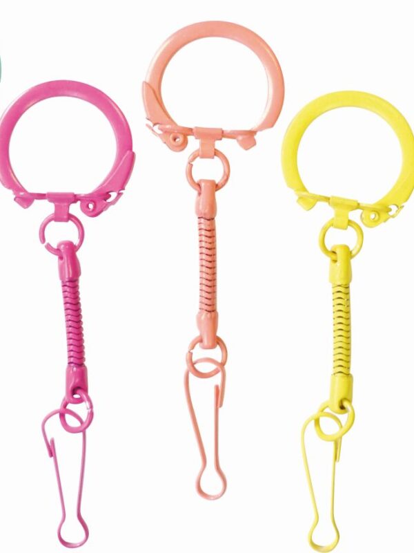 10 rainbow key rings with carabiners
