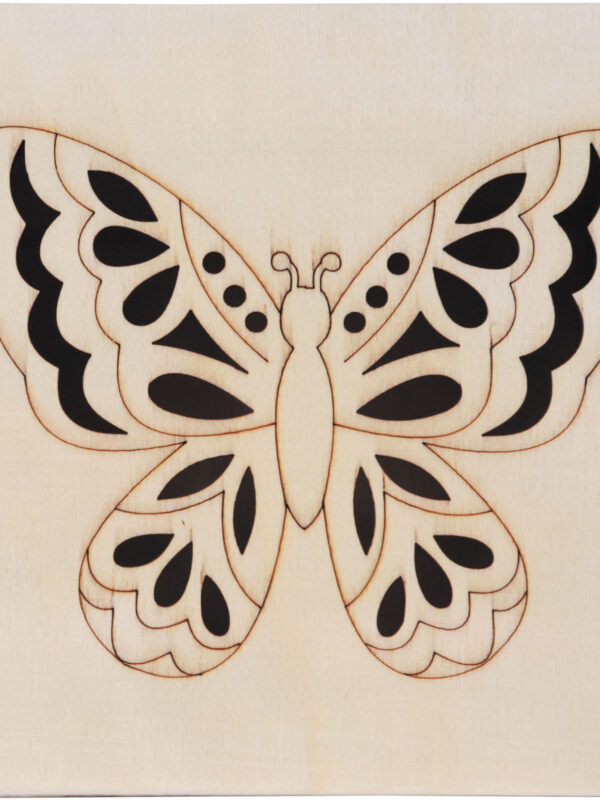 Butterfly box 150 x 150 x 75 mm