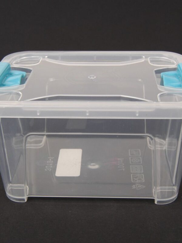 Box with lid 2800 ml 22 x 16 x 11 cm