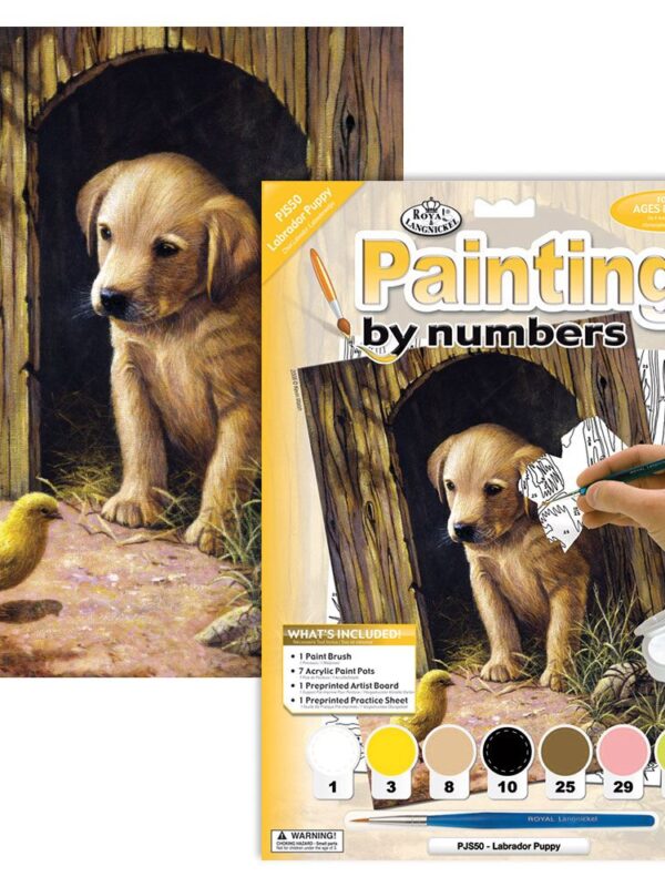 Schild.op nummers Junior 22,5x30cm Labrador puppy