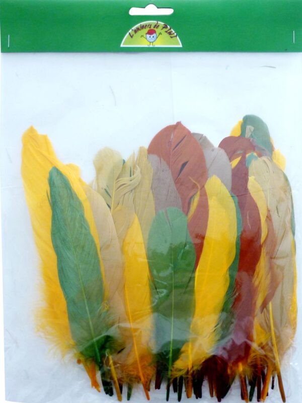 Bag of 15 g goose feathers autumn assorted colours