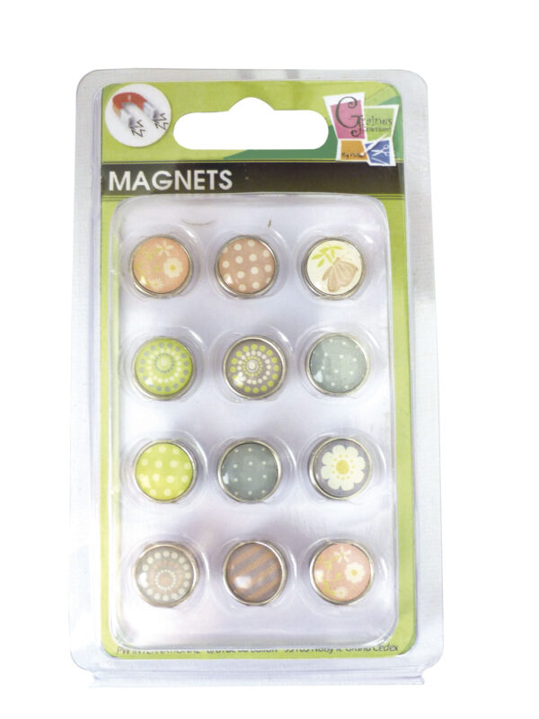 Set 12 epoxy magnets spring