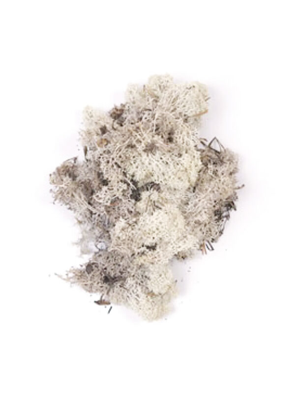 Iceland moss 40 g natural