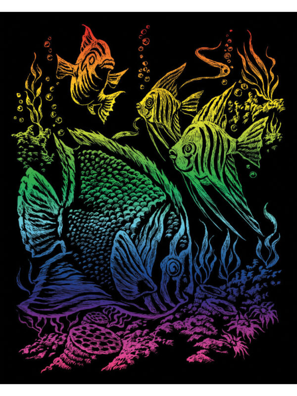Kraskaart regenboog 203x254mm Tropische vis