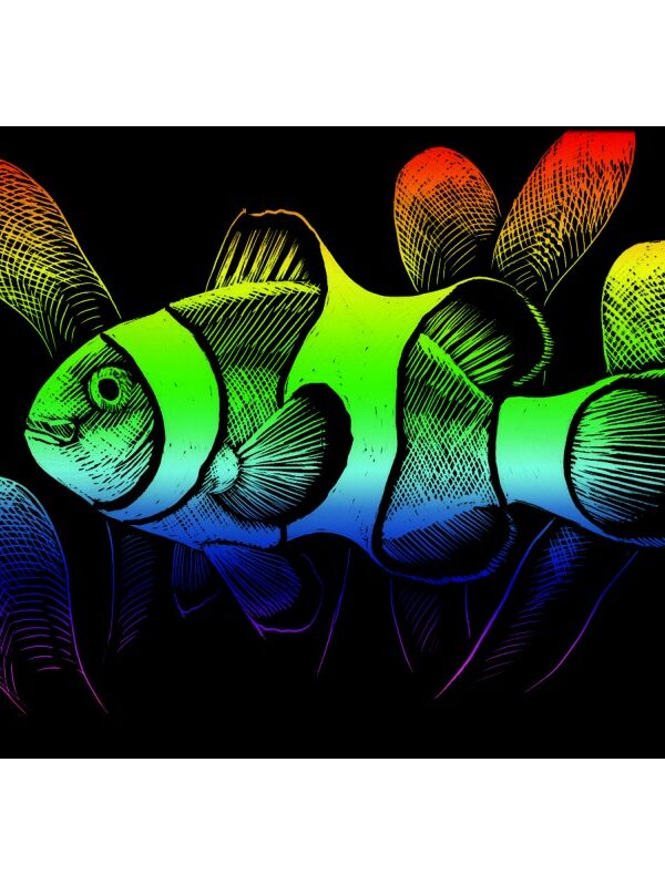 Carte à gratter mini 12,5x17,5cm arc-en-ciel.Poisson clown