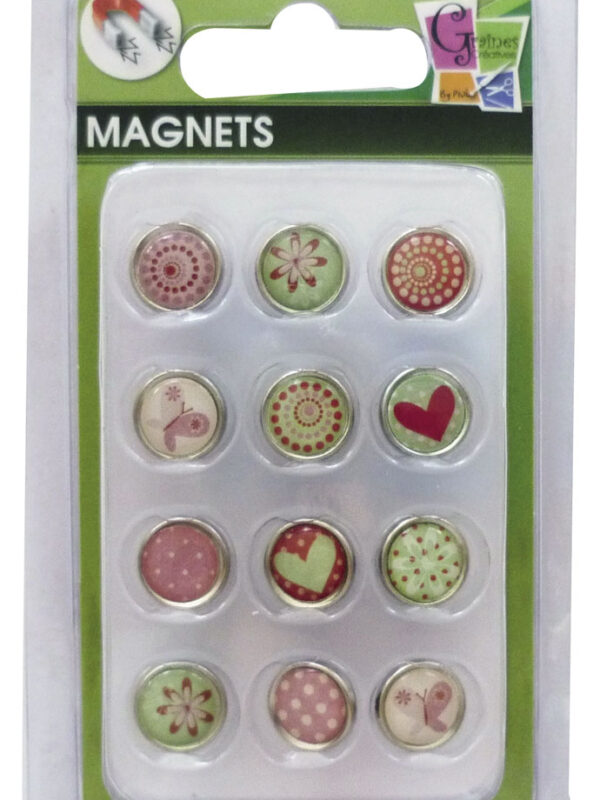 Set 12 epoxy magnets heart
