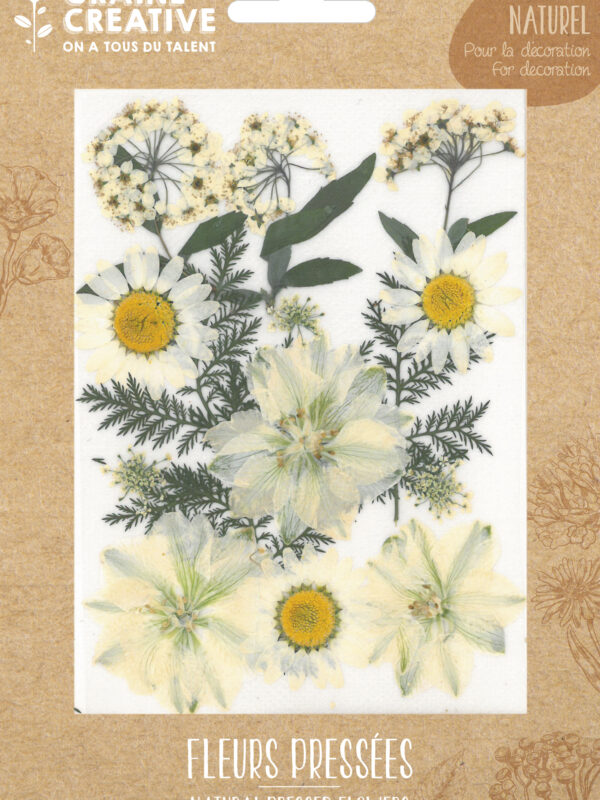 Dried flowers – White meadow (15 pcs)