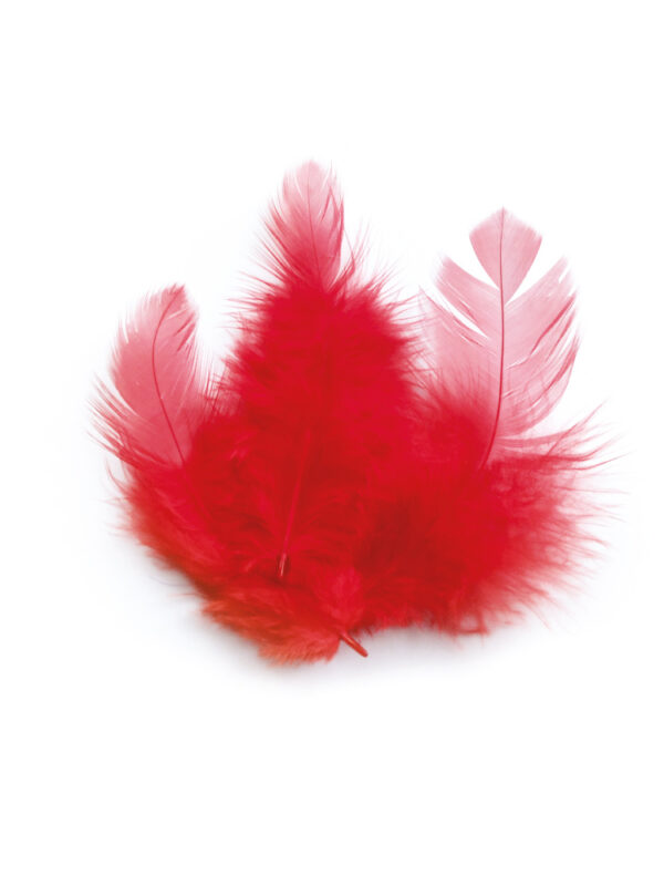 Rooster feathers 3 g 100 mm – Red