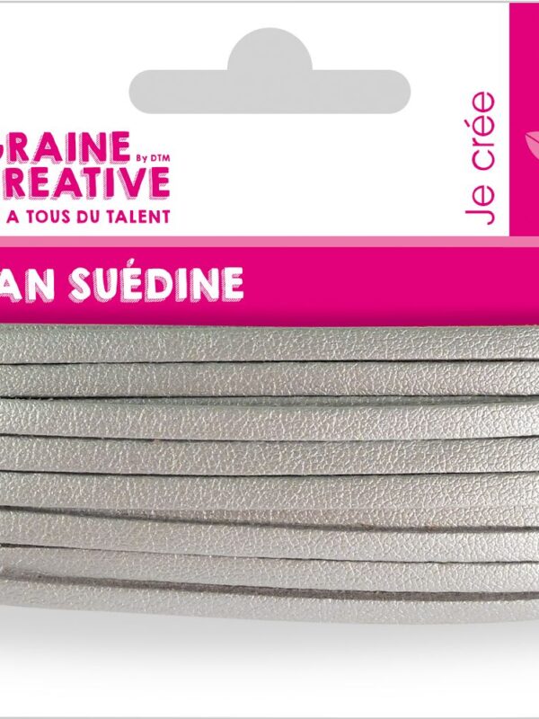 Suede ribbon silver 4.5 m
