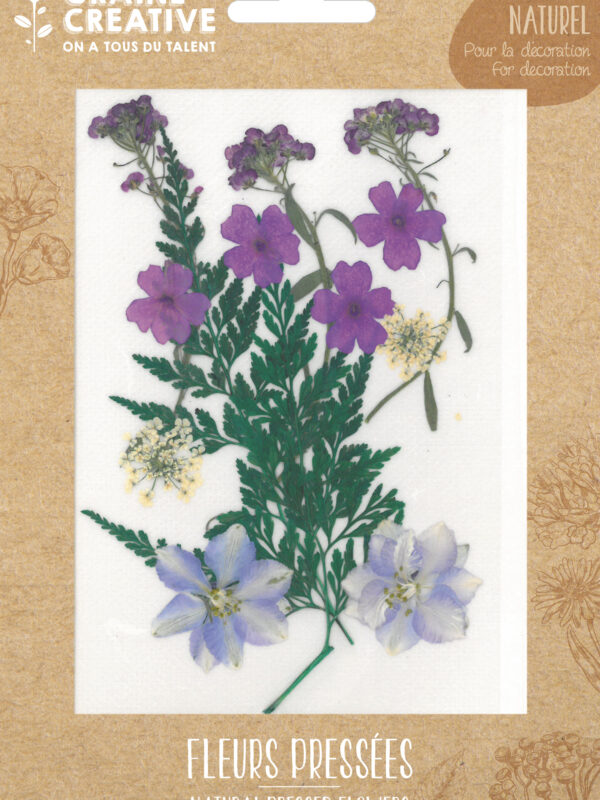 Dried flowers – Violet meadow (13 pcs)