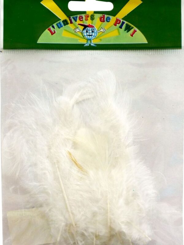 Bag of 20 rooster feathers height 70 – white