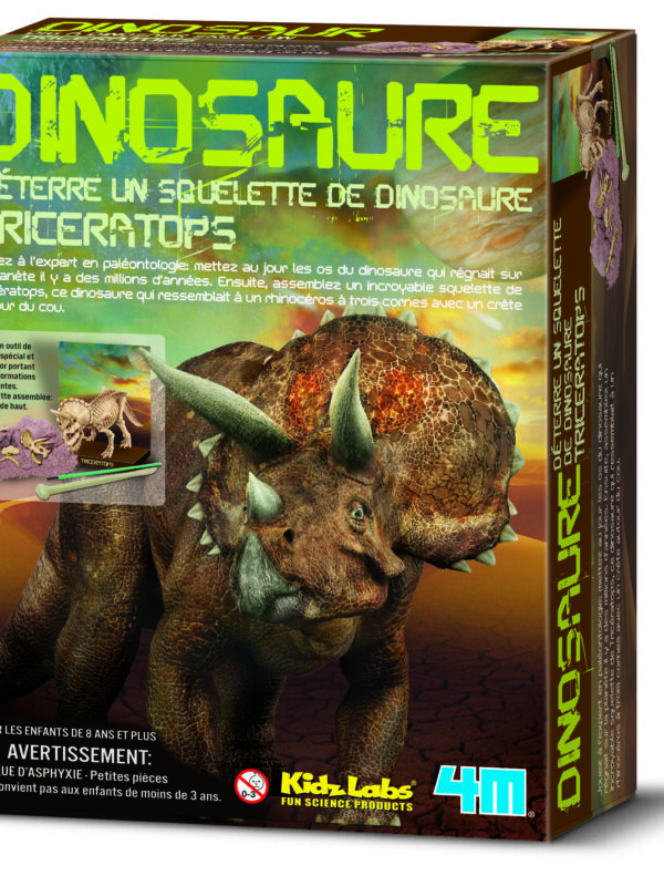 DAM kit Triceratops 170 x 220 x 60