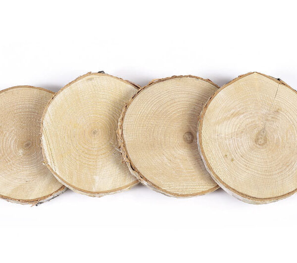 Tree slices Ø 70 mm – 100 mm (4 pcs)
