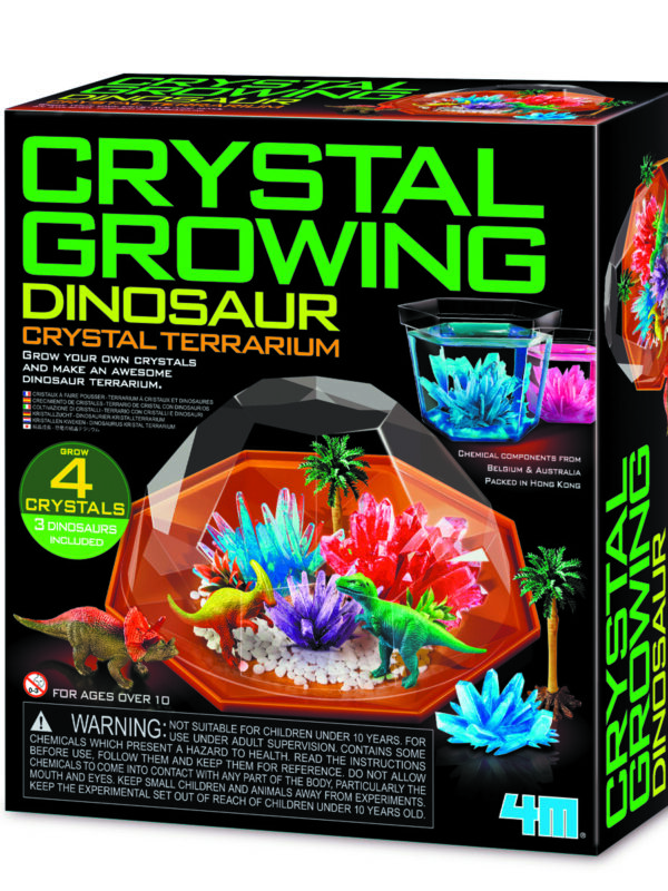 DAM kit 220 mm x 170 mm – Dinosaur crystal terrarium