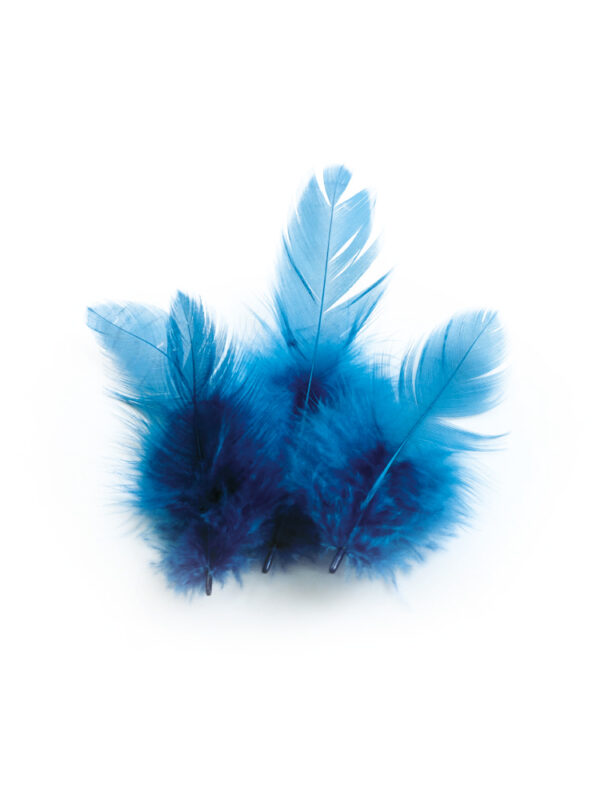 Rooster feathers 3 g 100 mm – Turquoise