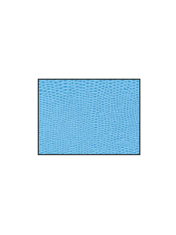 Pellaq Lizard 200g 68.5cm x 100cm – Sky blue
