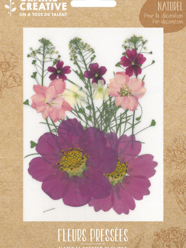Dried flowers – Parma meadow (14 pcs)