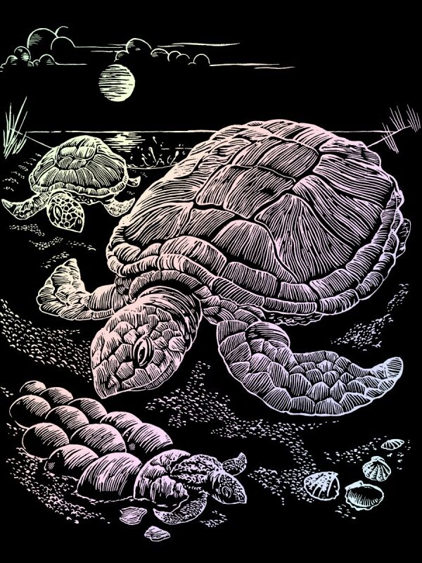 Carte à gratter 20,3x25,4cm holographique Tortue de mer