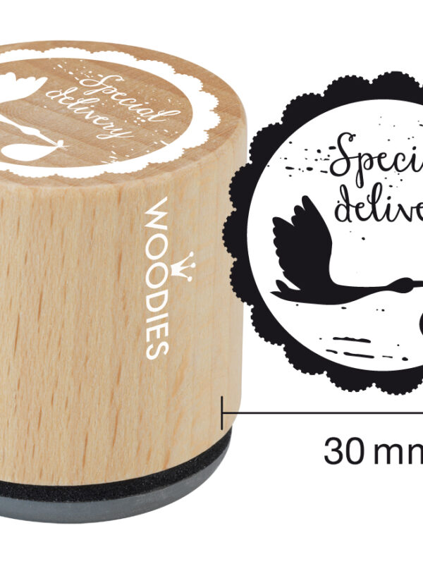 Woodies wooden stamp 30mm – Special delivery