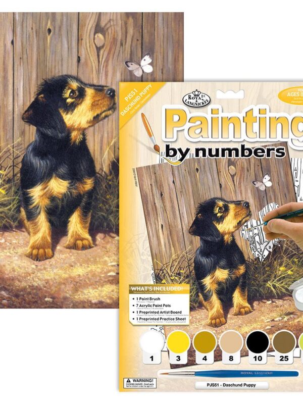 Paint by No. Junior 22,5cm x 30cm Dachshund puppy