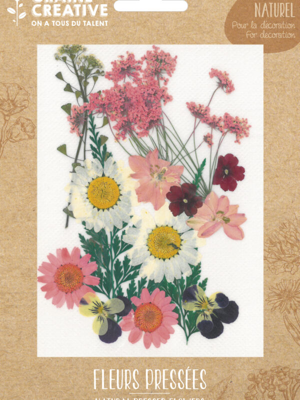 Dried flowers – Prairie rose (16 pcs)