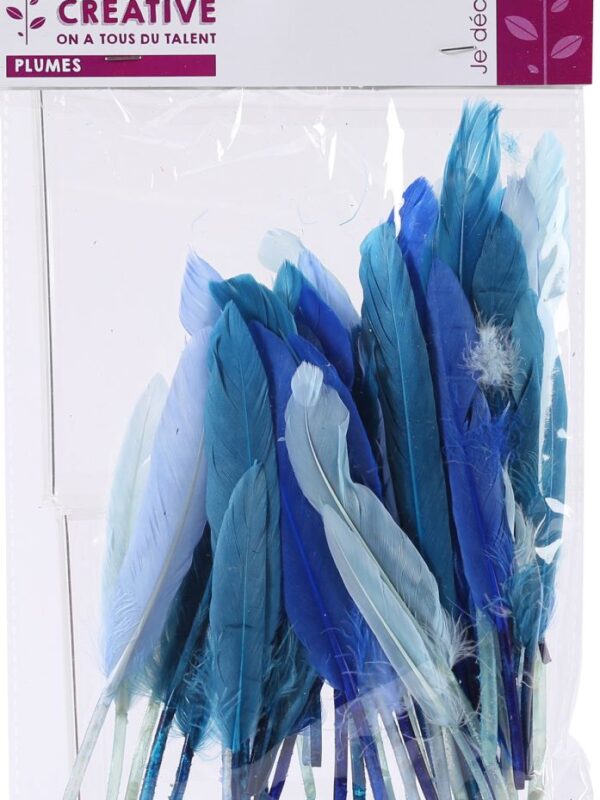 Indian feathers 10 g 150 mm blue shades