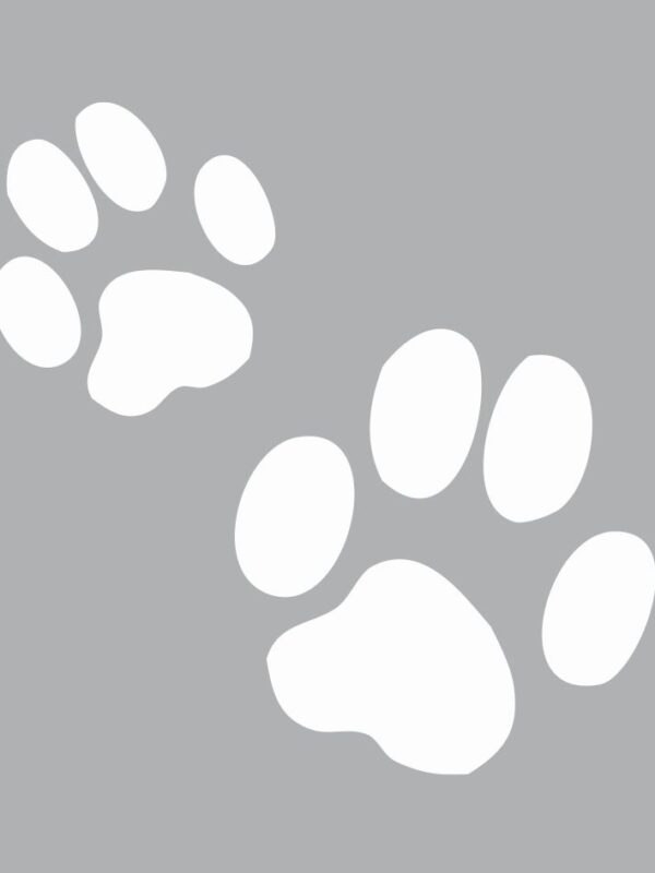 Mini-Schablone 8 cm x 8 cm – Katzenpfote