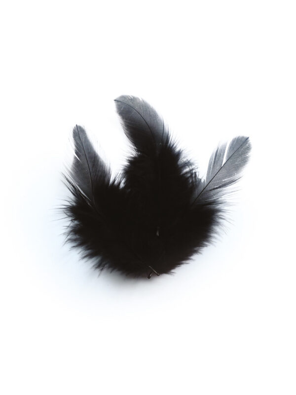Rooster feathers 3 g 100 mm – Black