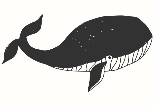 Wooden stamp May & Berry 35mm x 55mm - Whale