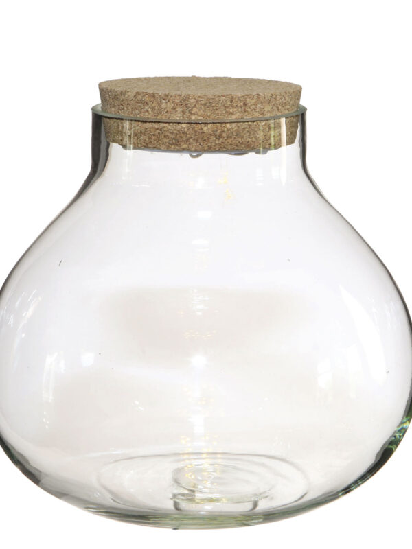 Terrarium with LED cork stopper Ø 205 mm x 200 mm