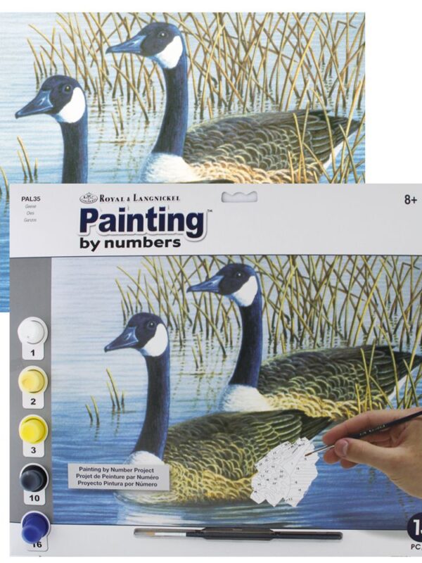 Schild.op nummers Senior 27,5x35cm Geese