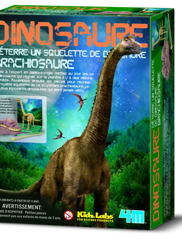 DAM kit 220 mm x 170 mm – Dig your own brachiosaurus