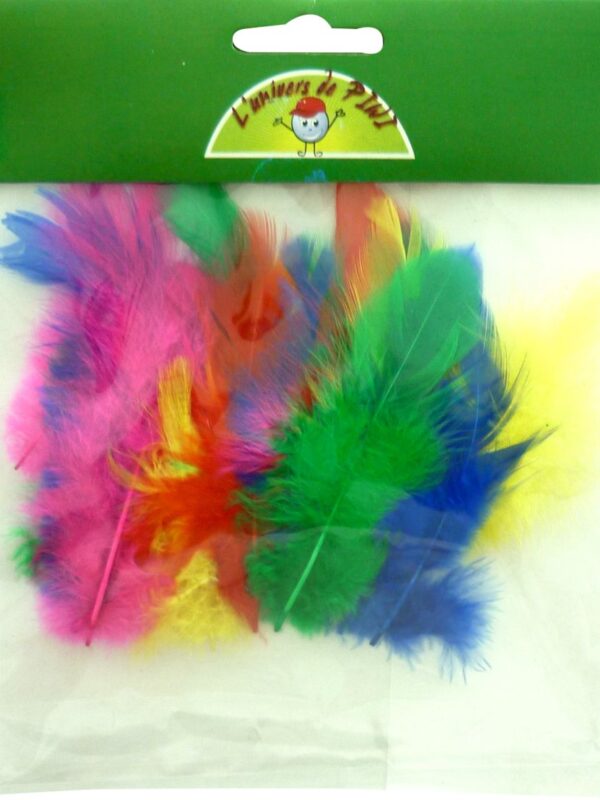 Rooster feathers 7 cm P/20 bright colours mix