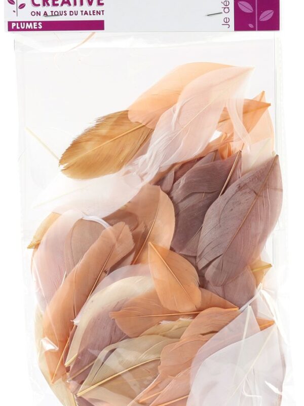 Bag of 10 g cut feathers beige shades 60