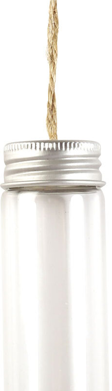 Glass test tube Ø 30 mm x 100 mm