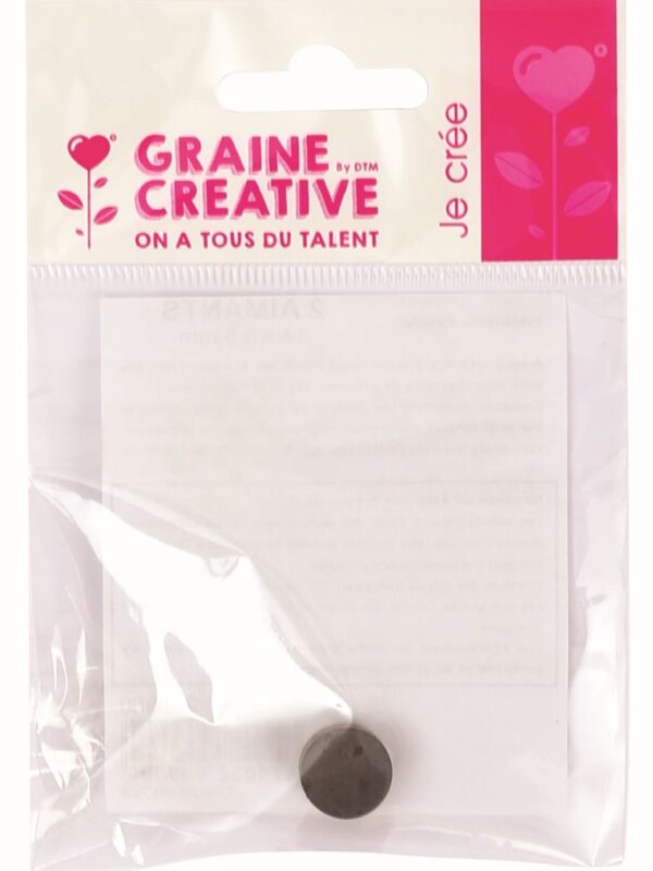 Sachet of 2 magnets 14x5.5mm