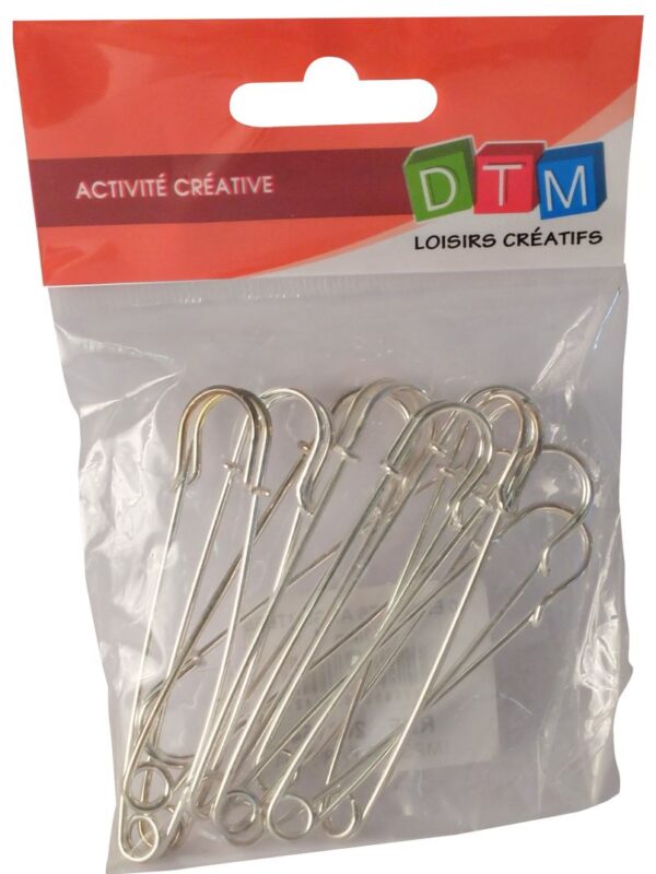 Bag of 10 silver pins 63mm
