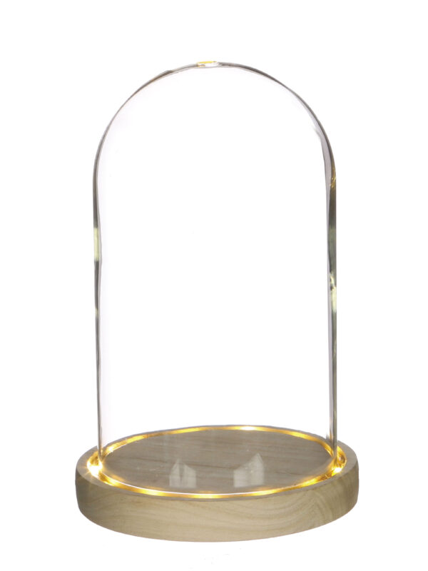 Illuminated glass dome with wooden base Ø 140 mm x 215 mm