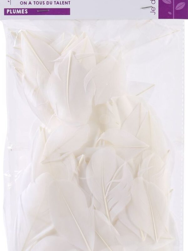 Bag of 3 g cut feathers white height 60