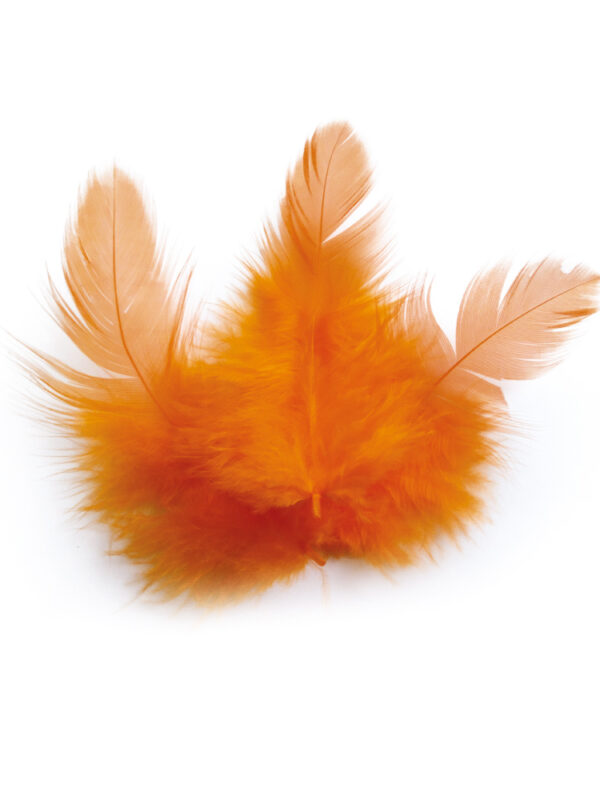 Bag of 3 g rooster feathers orange height 100