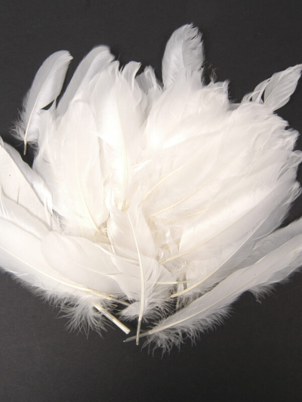Feathers 15 cm 15 g white