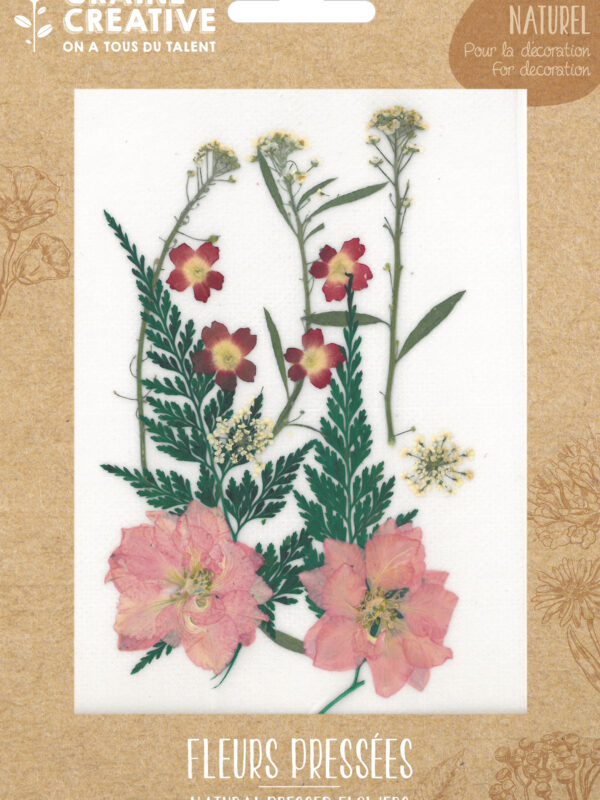 Dried flowers – Red meadow (13 pcs)