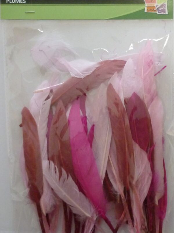Indian feathers 10 g 150 mm pink shades