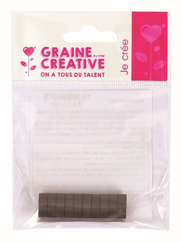 Sachet of 10 magnets 14x5.5mm